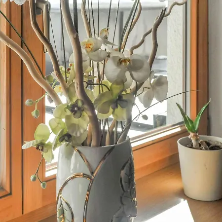 Apartamento In Huben Near Slopes